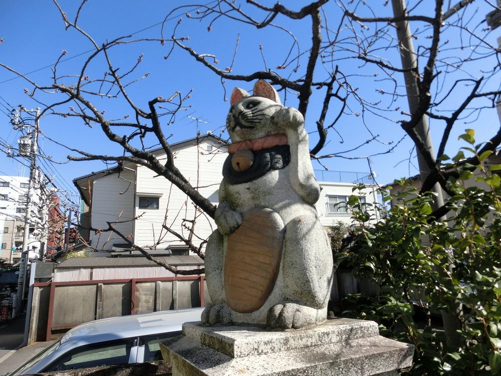 Kucing dan Mitologinya di Jepang