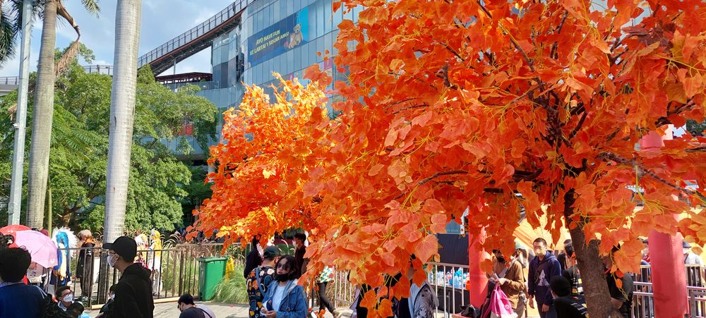 Momijifest 2022: Panggung Cosplay di Tengah Terik Cuaca Jakarta