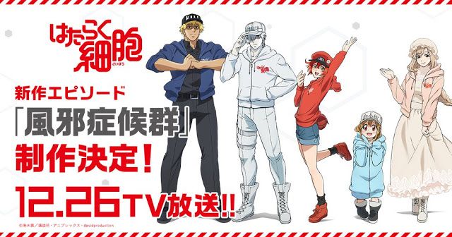 Anime Hataraku Saibou Akan Mendapatkan Episode Spesial 26 Desember